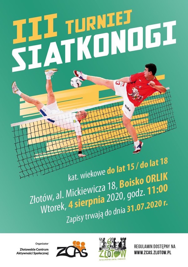 Turniej Siatkonogi