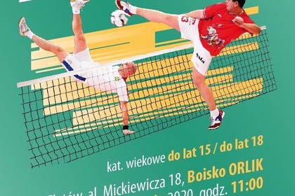 Turniej Siatkonogi
